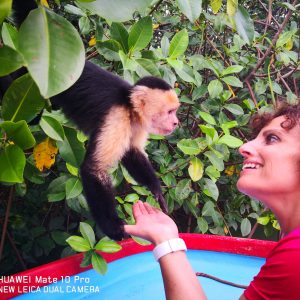 לדבר עם הקופים בקוסטה ריקה